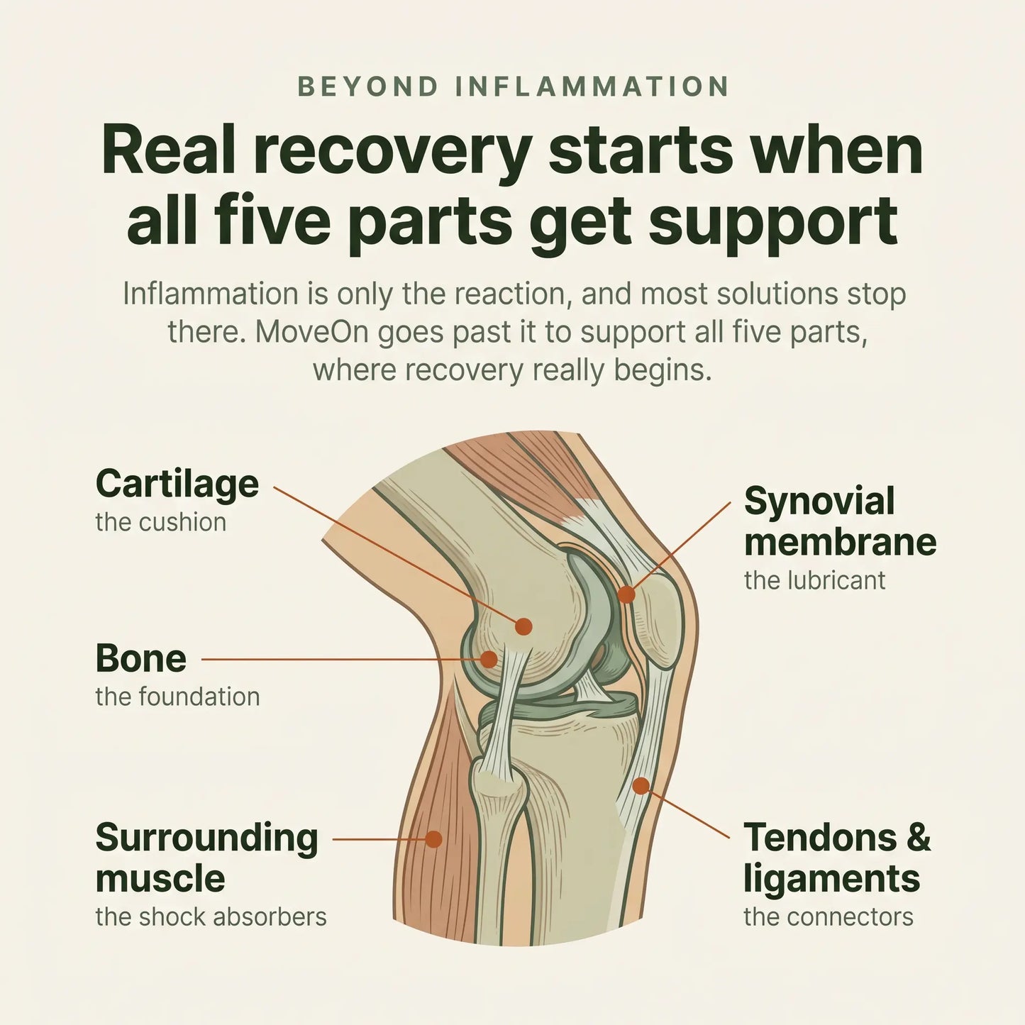 Wellous Immority MoveOn Joint Health Supplement